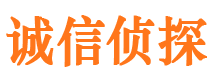 天津侦探公司